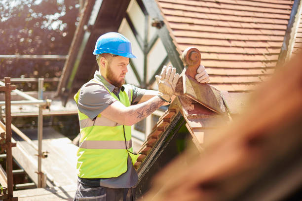 Best Roof Gutter Cleaning  in Daniels Farm, CT
